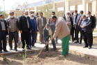 کاشت نهال همزمان با روز درختکاری و هفته منابع طبیعی در دانشگاه کاشان