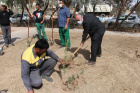 کاشت نهال همزمان با روز درختکاری و هفته منابع طبیعی در دانشگاه کاشان