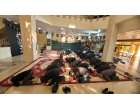 برگزاری مراسم عزاداری حضرت اباعبدالله الحسین علیه السلام در پنجمین روز محرم الحرام سال ۱۴۰۵ در دانشگاه کاشان