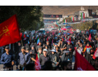 روز تاریخی مشهد مقدس ثبت شد