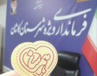 جلسه هم‌اندیشی ازدواج فرمانداری با دستگاه ها و نهادهای دولتی