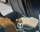آرشیو تصاویر ضیافت اندیشه اساتید 1405