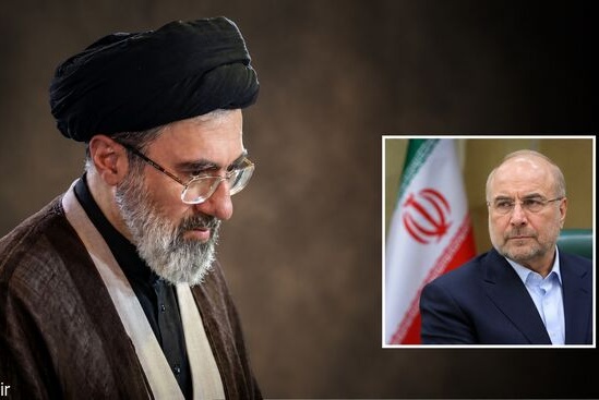 دیدار رئیس مجلس شورای اسلامی با رهبر معظم انقلاب اسلامی
