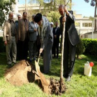 کاشت نهال توسط رهبرمعظم انقلاب در هفته منابع طبیعی