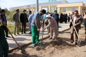 کاشت نهال همزمان با روز درختکاری و هفته منابع طبیعی در دانشگاه کاشان