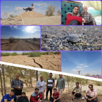 برگزاری اردوی یک روزه دانشجویان طرح حامیم به کویر