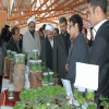 گشایش نخستین جشنواره گیاهان و زیست فناوری در دانشگاه کاشان